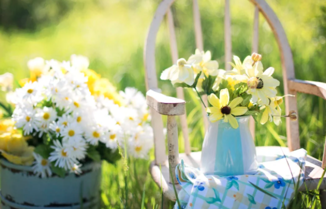 Foto: Jill Wellington, pexels.com